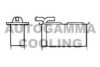 AUTOGAMMA 105340 Intercooler, charger